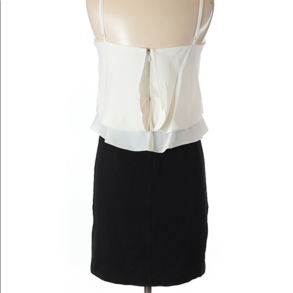 **SOLD** BCBG MaxAzria Black White Silk Dress - Picture 8 of 8